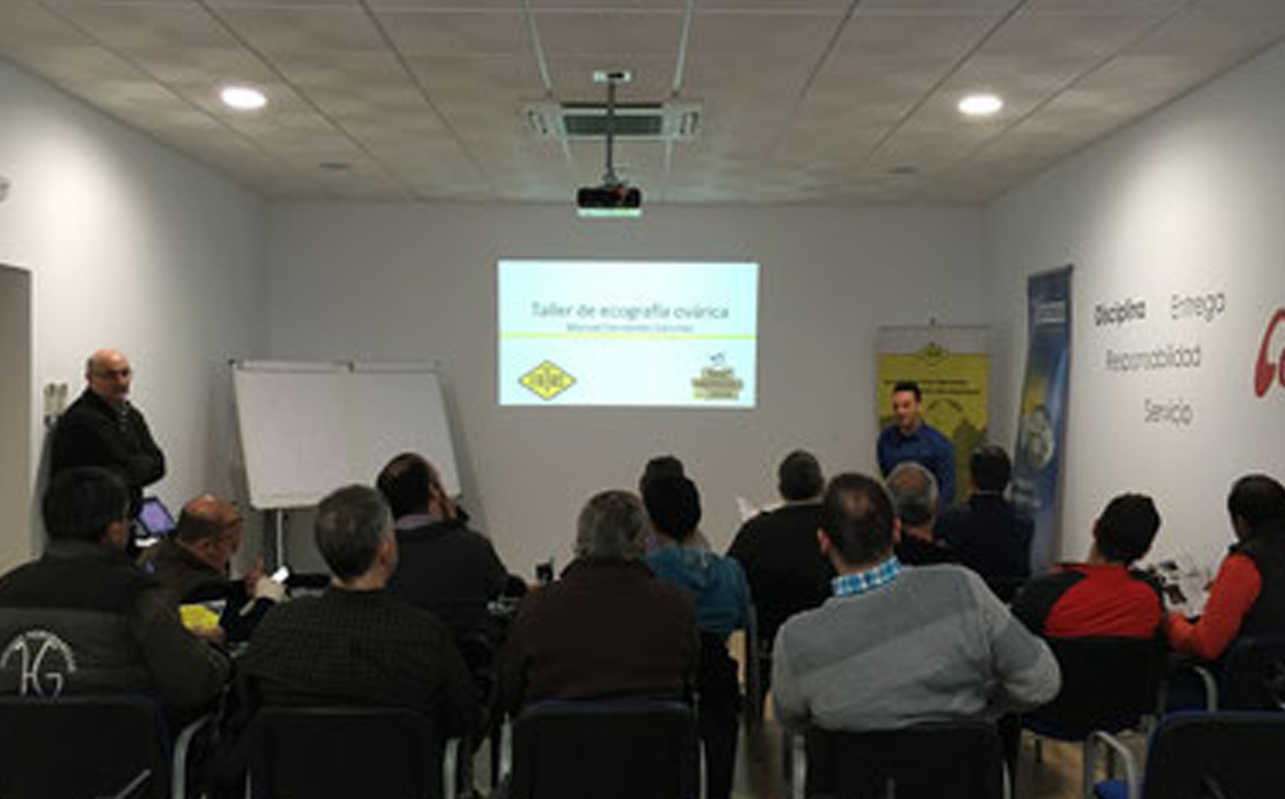 Grupocerama_blog_03