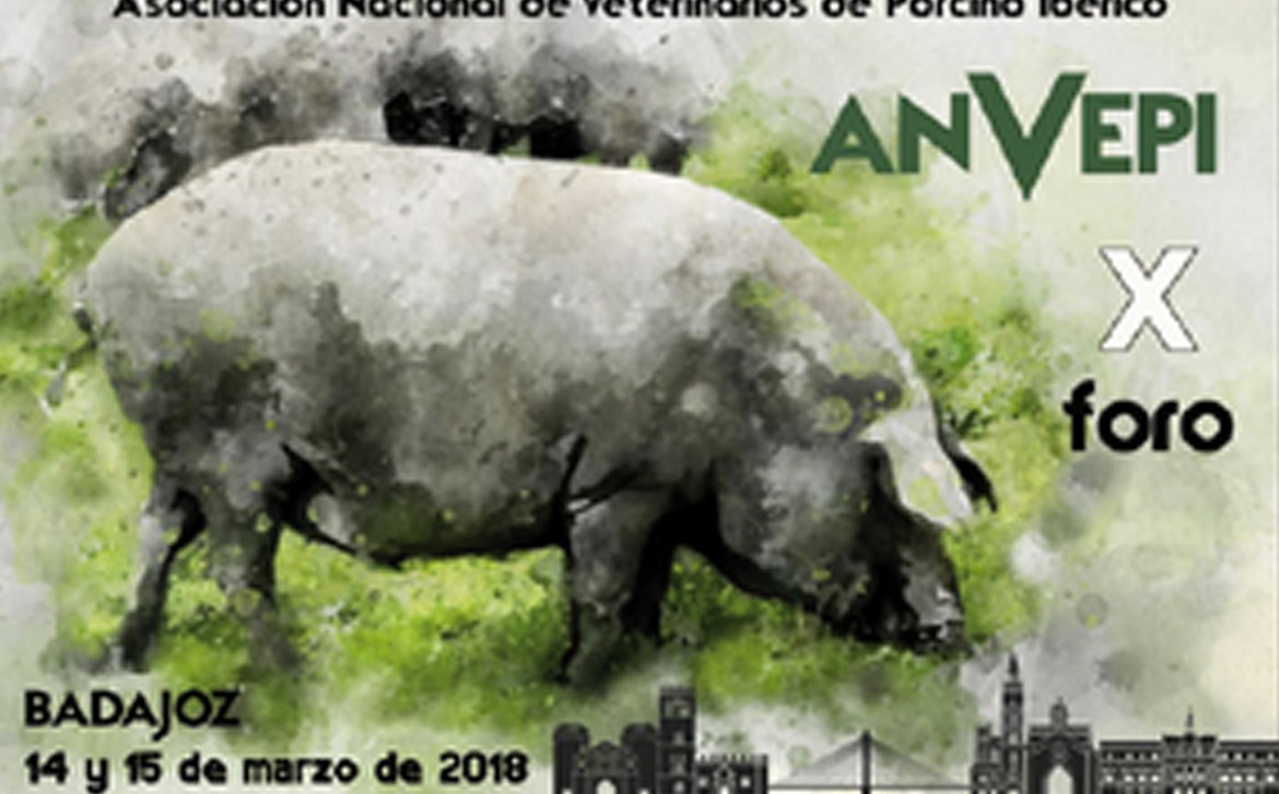 Grupocerama_blog_05